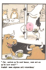 vache3.gif (112734 bytes)